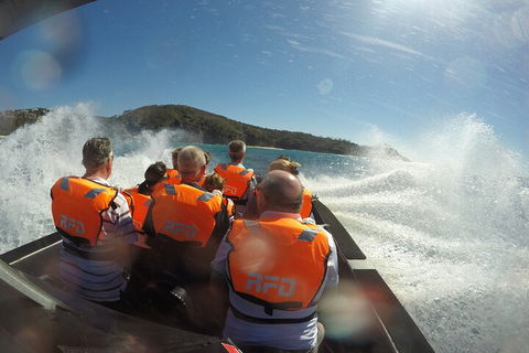 Noosa Thriller - 500hp Ocean Adventure Ride - Attractions 3