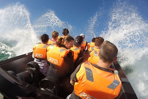 Noosa Thriller - 500hp Ocean Adventure Ride - Attractions 4