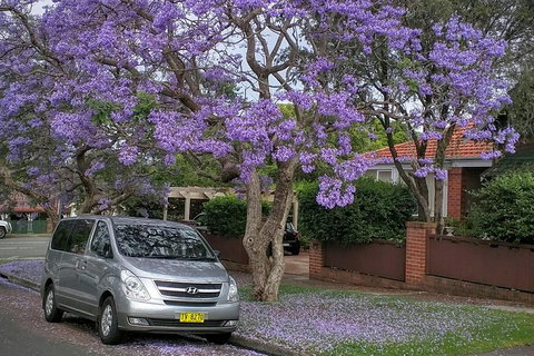 Sydney Secrets & Bondi Beach Private 4 Hr Morning With Personalised Sydney Tours - Attractions 0