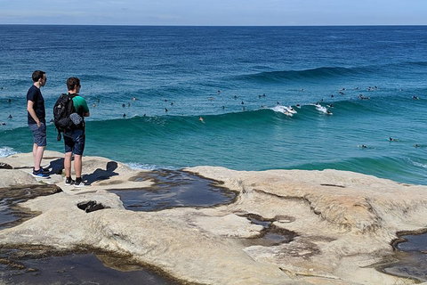 Sydney Secrets & Bondi Beach Private 4 Hr Morning With Personalised Sydney Tours - Attractions 2