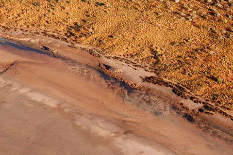 Scenic Flight: Lizard Safari - Attractions 0