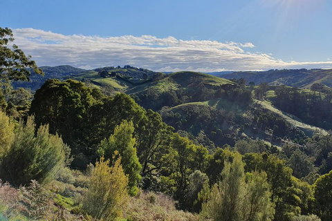 3-Day Adelaide To Melbourne Tour Including The Great Ocean Road - See Attractions 5