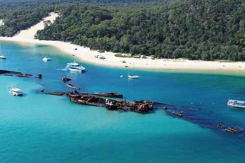 All Inclusive Dolphin And Tangalooma Wrecks Cruise - Attractions 4