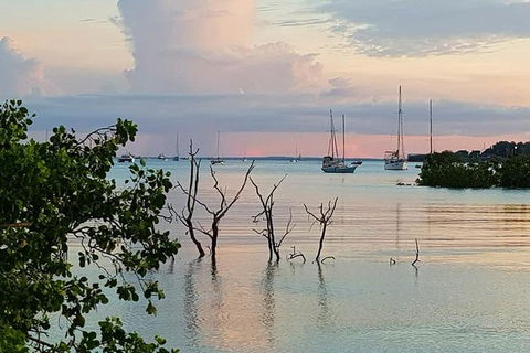 Tropical Light Sundowner Cruise With Drinks Included - Attractions 2