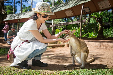 Kuranda Day Tour, TKS-RFS GRAND GOLD PLUS 0930 - Attractions 3
