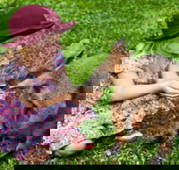 Kuranda Day Tour  HotAir Balloon Combo - Attractions