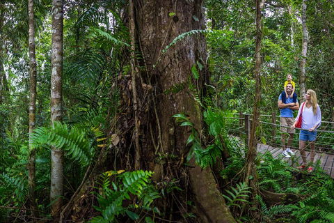 Kuranda Day Tour + HotAir Balloon Combo - Attractions 3