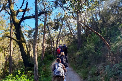 Self-Guided Waterfall Gully To Mount Lofty Hike From Adelaide - Attractions 1