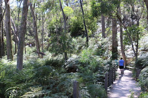 Self-Guided Waterfall Gully To Mount Lofty Hike From Adelaide - Attractions 2