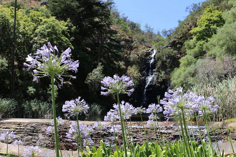 Self-Guided Waterfall Gully To Mount Lofty Hike From Adelaide - Attractions 3