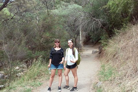 Self-Guided Waterfall Gully To Mount Lofty Hike From Adelaide - Attractions 4