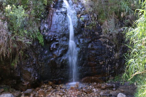 Self-Guided Waterfall Gully To Mount Lofty Hike From Adelaide - Attractions 5