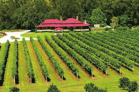 O'Reilly's & Lamington National Park From Brisbane - Attractions 2