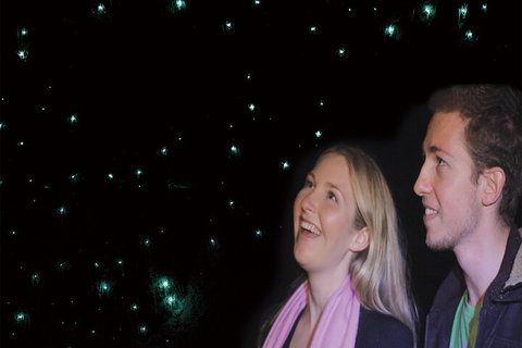 Natural Bridge Glow Worm Night Tour From Gold Coast - See Attractions 3