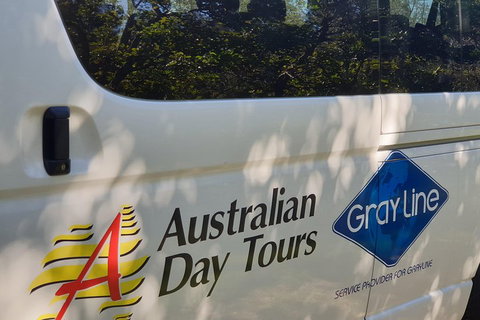 Natural Bridge Glow Worm Night Tour From Gold Coast - See Attractions 5