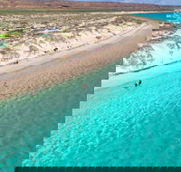 Ningaloo in a Day - Full Day Hike and Snorkel Tour with Lunch - Attractions