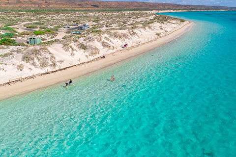 Ningaloo In A Day - Full Day Hike And Snorkel Tour With Lunch - Attractions 0
