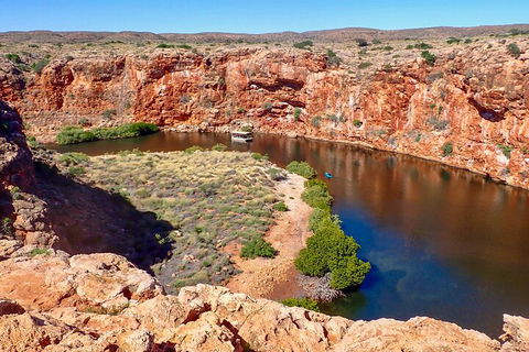 Ningaloo In A Day - Full Day Hike And Snorkel Tour With Lunch - Attractions 2