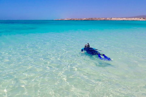 Ningaloo In A Day - Full Day Hike And Snorkel Tour With Lunch - Attractions 4
