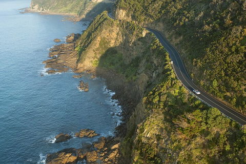 LGBT+ Friendly 2 Day Private Tour Great Ocean Road + Phillip Island - Attractions 4