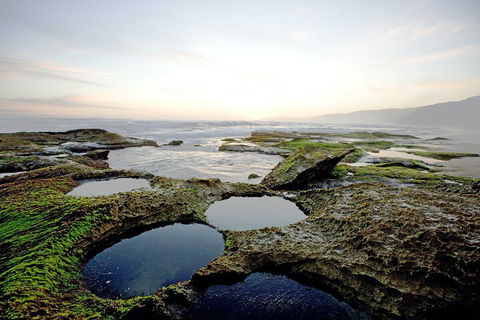 LGBT+ Friendly 3 Day Private Tour Great Ocean Road & Phillip Island - Attractions 5