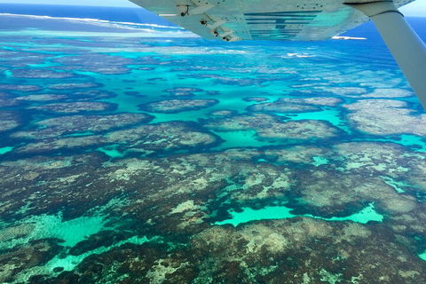 Shipwreck Special Full Day Tour Of The Abrolhos Islands - Attractions 1