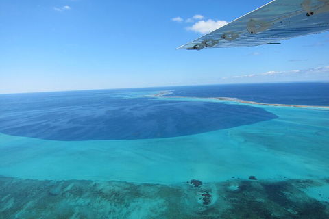 Shipwreck Special Full Day Tour Of The Abrolhos Islands - Attractions 2