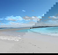 Shipwreck Special Nature Tour/Half Day Tour - Attractions