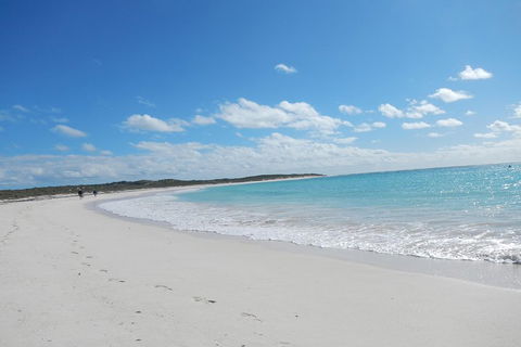 Shipwreck Special Nature Tour/Half Day Tour - Attractions 0