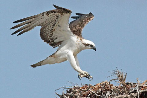 Pink Lake + Abrolhos Islands Nature Tour - Attractions 3