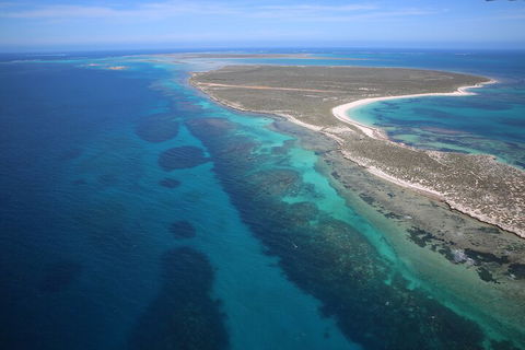 Pink Lake + Abrolhos Islands Scenic Flight - Attractions 0