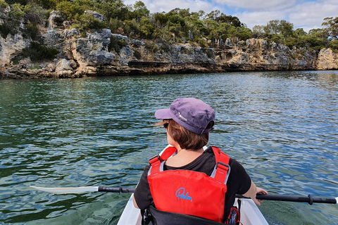 Cliffs And Caves Kayak Tour In Swan River - Attractions 0