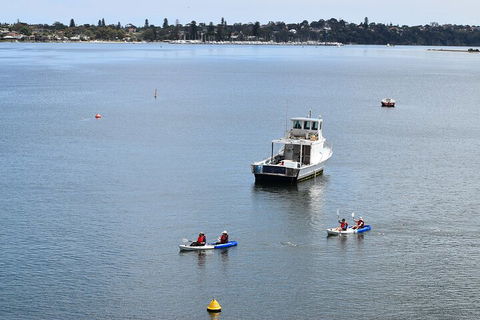 Cliffs And Caves Kayak Tour In Swan River - Attractions 2