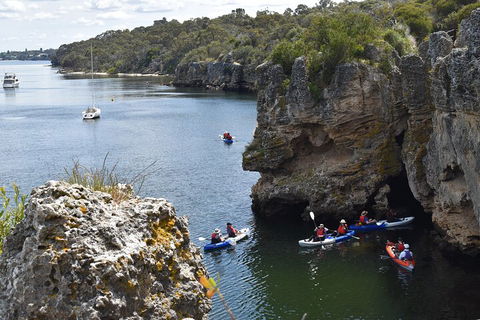 Cliffs And Caves Kayak Tour In Swan River - Attractions 5