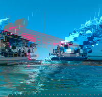 Best of Moreton Bay Cruise - Attractions