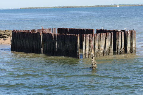 Best Of Moreton Bay Cruise - Attractions 1