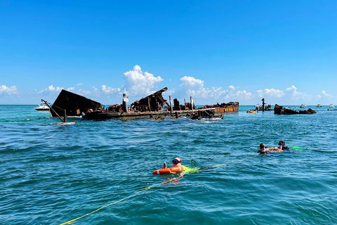 Best Of Moreton Bay Cruise - Attractions 5