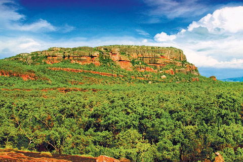 Kakadu, Nourlangie And Yellow Waters Tour From Darwin - Attractions 3