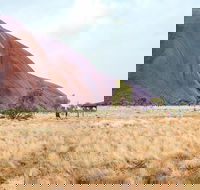 Uluru Sunrise and Guided Base Walk - Attractions