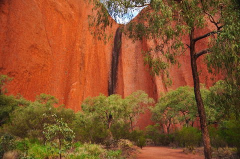 Uluru Sunrise And Guided Base Walk - Attractions 3