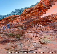 Kings Canyon Guided Rim Walk - See Attractions