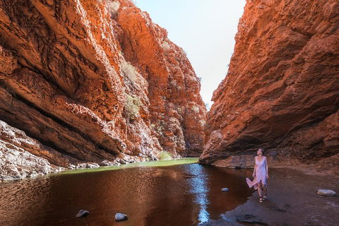 West MacDonnell Ranges- Half Day Trip From Alice Springs - Attractions 1