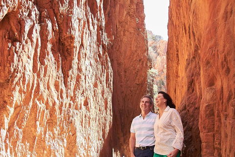 West MacDonnell Ranges- Half Day Trip From Alice Springs - Attractions 2
