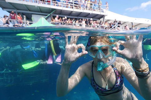 Great Barrier Reef Day Cruise From Cairns Including Snorkeling And Marine Biologist Presentation - Attractions 0