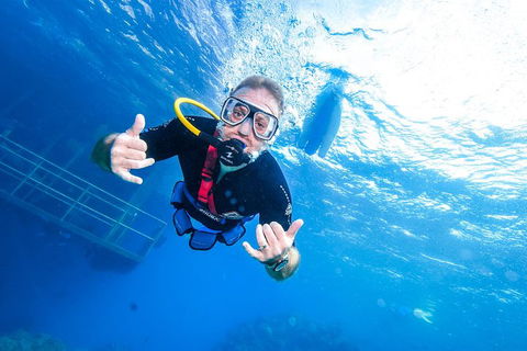 Great Barrier Reef Day Cruise From Cairns Including Snorkeling And Marine Biologist Presentation - Attractions 3