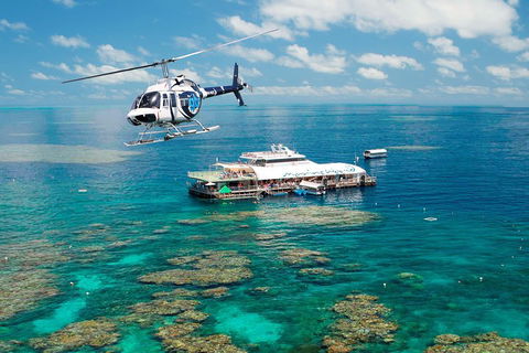 Great Barrier Reef Day Cruise From Cairns Including Snorkeling And Marine Biologist Presentation - Attractions 5