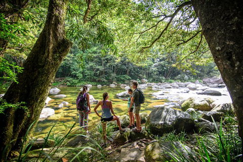 Private Daintree Mossman Gorge Exclusive Nature And Wildlife Focus - Attractions 5