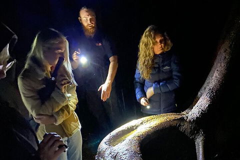 Evening Rainforest & Glow Worm Experience - Attractions 2