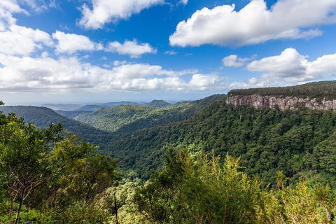 Natural Bridge & Springbrook Waterfalls Tour - Attractions 1