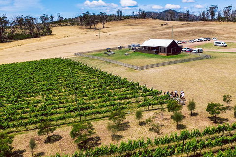 Tasmanian Wine Tour - Attractions 3